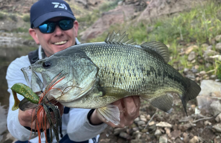 Shad Daiwa D FIN 12.5 cm, 5 buc / plic, UV real motor oil [1]