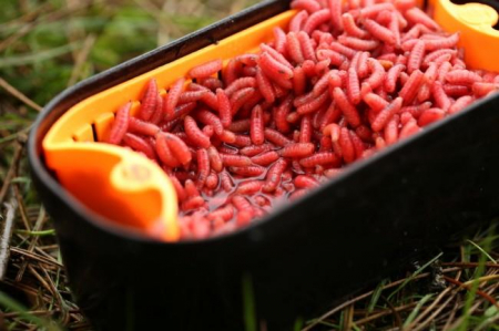 SITA PENTRU MOMEALA 15X7X4CM [6]