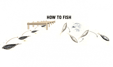 SHAD LIVE TARGET SKIP SHAD SHAD SOFT JERKBAIT 11CM 134 SILVER/PEARL, 4 BUC / PLIC [1]