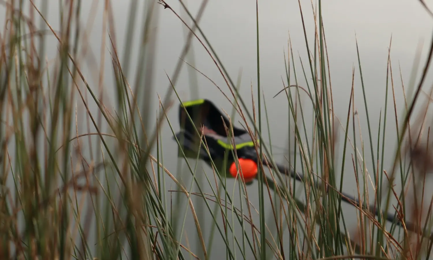 Sonar Deeper Smart Chirp+ 2.0 limited edition grey [5]