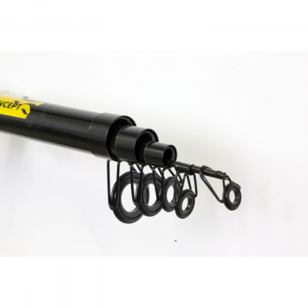 LANSETA TELESCOPICA LINEAEFFE ASTEROID WTG ROD 4,20 M [1]