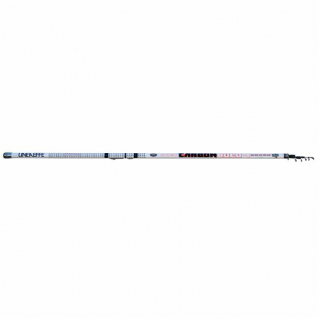 LANSETA TELESCOPICA LINEAEFFE CARBON 6,00 M/25G [1]