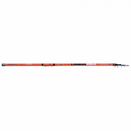 Pescuit stationar - LANSETA TELESCOPICA LINEAEFFE CARBON 6,00 M/25G