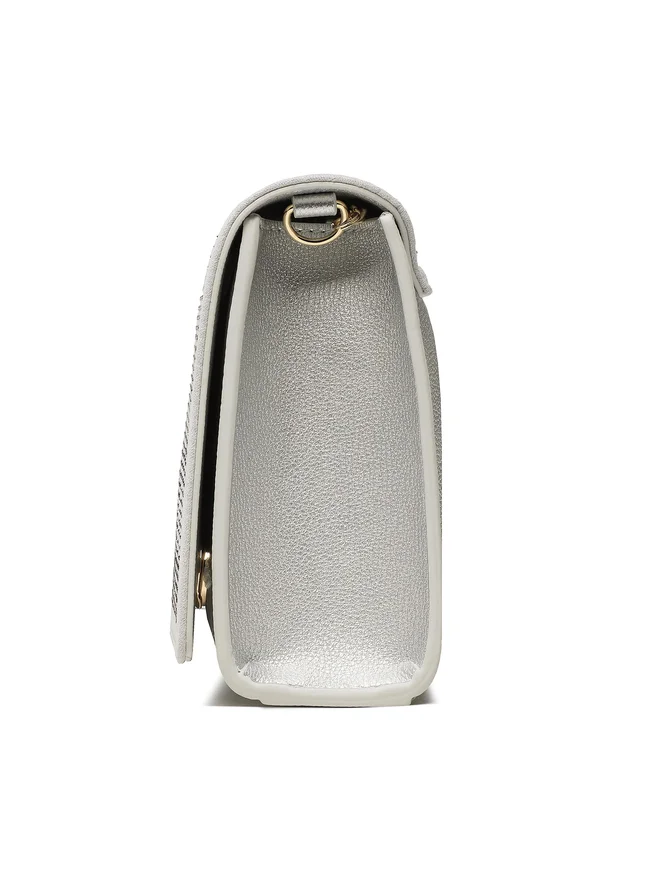 Geantă Argintiu [3]