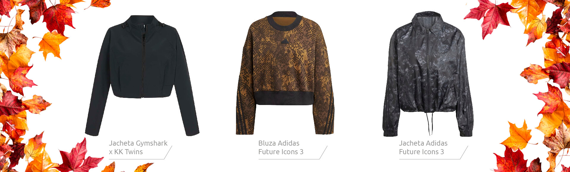 Banner toamna 2025-10-07