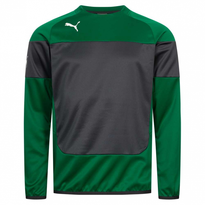 Bluza Puma Indomitable [1]