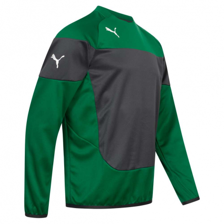 Bluza Puma Indomitable [1]