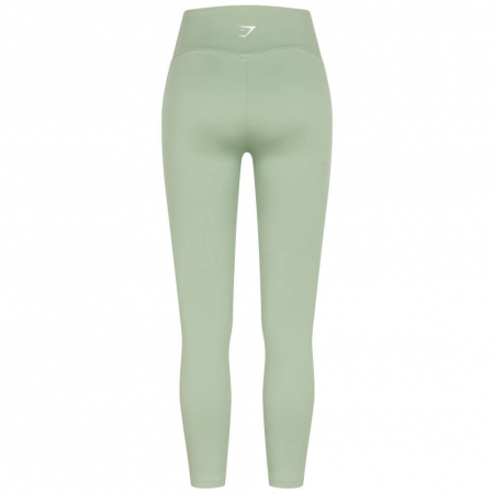 Colanti Gymshark [2]