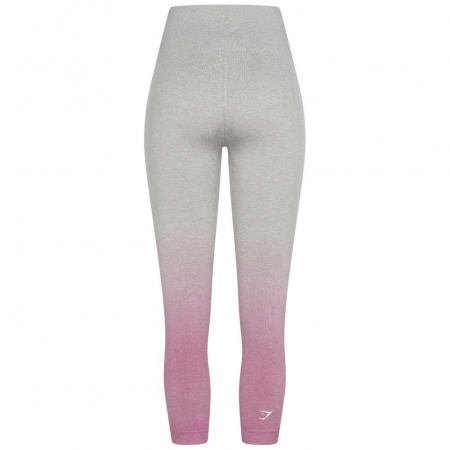 Colanti Gymshark Adapt [2]