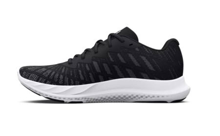 Pantofi Under Armour Charged 2 Breeze [1]
