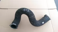 Furtun intercooler pentru Citroen C5 III, motorizare 2.0 diesel [1]