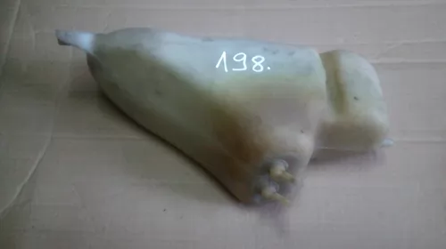 Alte anexe - Vas expansiune pentru BMW Seria 7 E32, cod 1179025