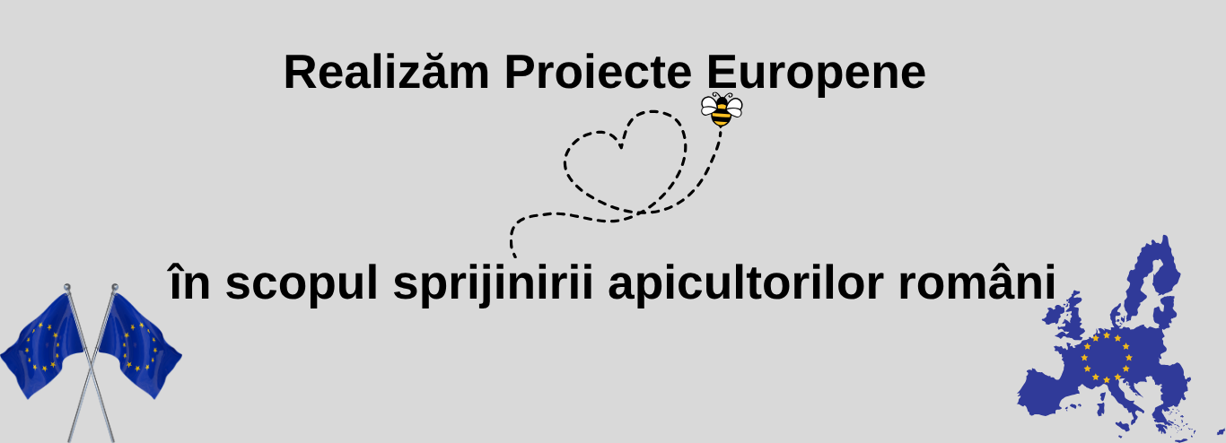 Efectuam proiecte europene