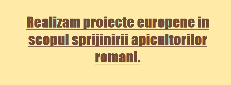 Efectuam proiecte europene
