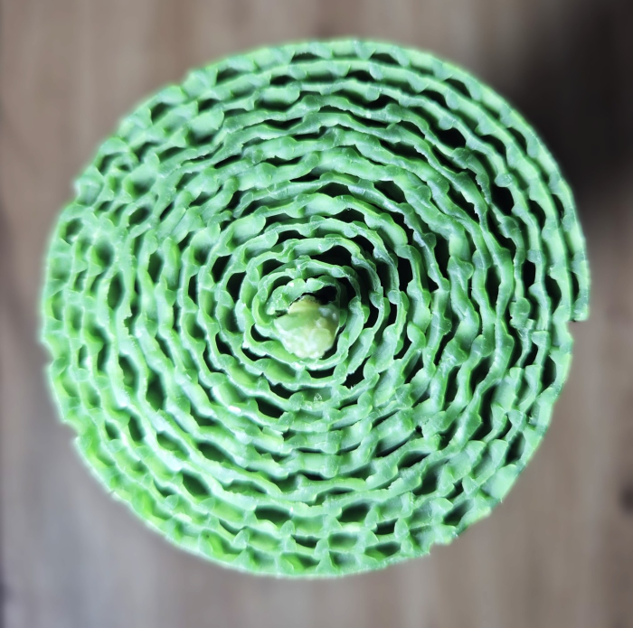 Lumanare din Fagure Decor/Evenimente Verde Padure [2]