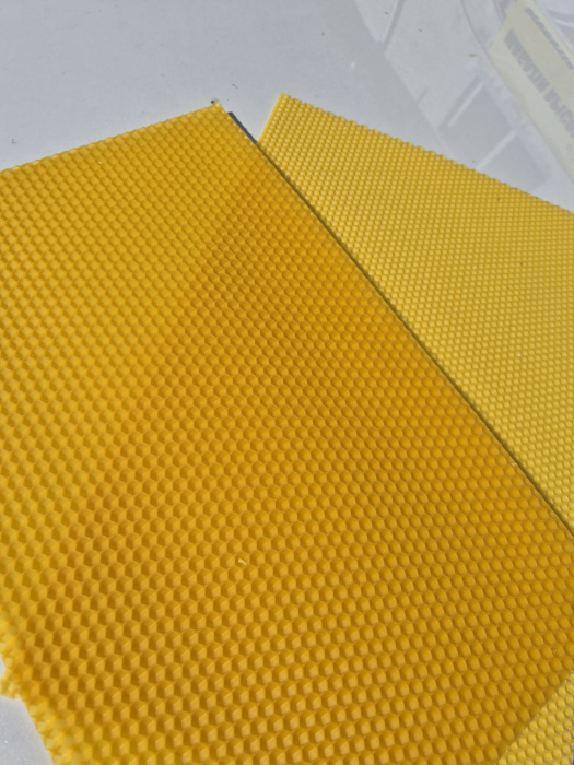 Faguri de Trantor [3]