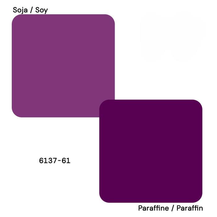 Colorant Ceara Violet var2 100g [2]