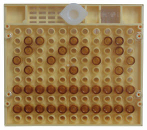 Pachet crestere 100 regine [4]