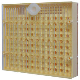 Pachet crestere 100 regine [5]
