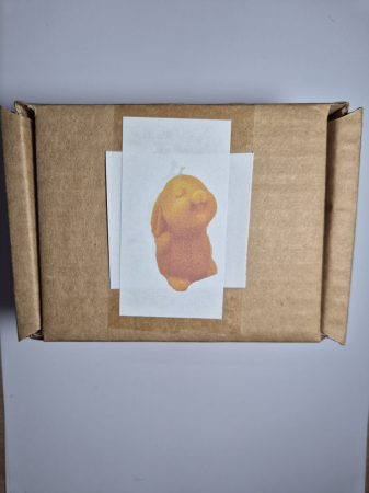 Forma Lumanare Iepuras [2]