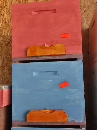 Stupi Vopsiti din Lemn [2]