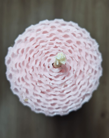 Lumanare din Fagure Decor/Evenimente Roz Deschis [2]