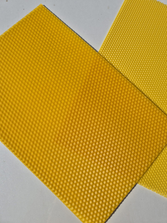 Faguri - Faguri de Trantor