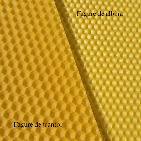 Faguri de Trantor [3]