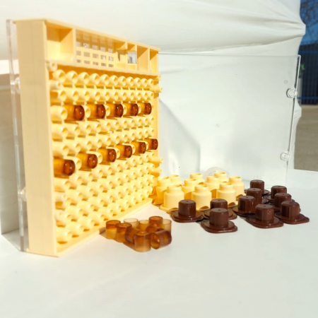 Pachet crestere 50 regine [1]