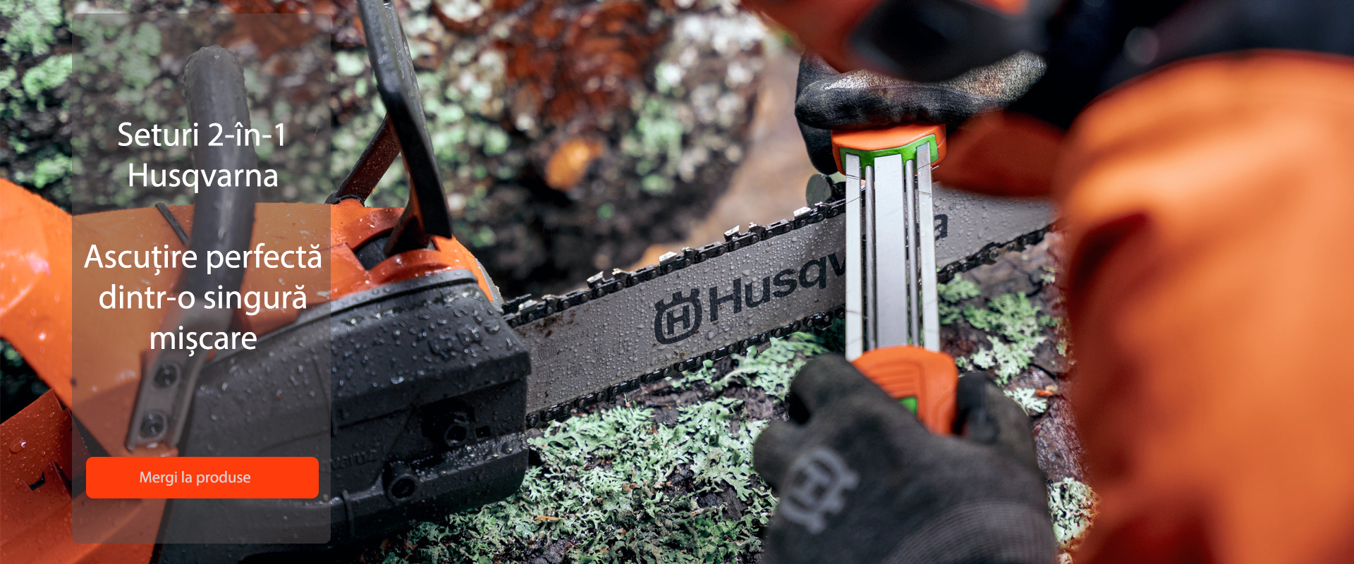 Seturi 2-in-1 ascutire desktop