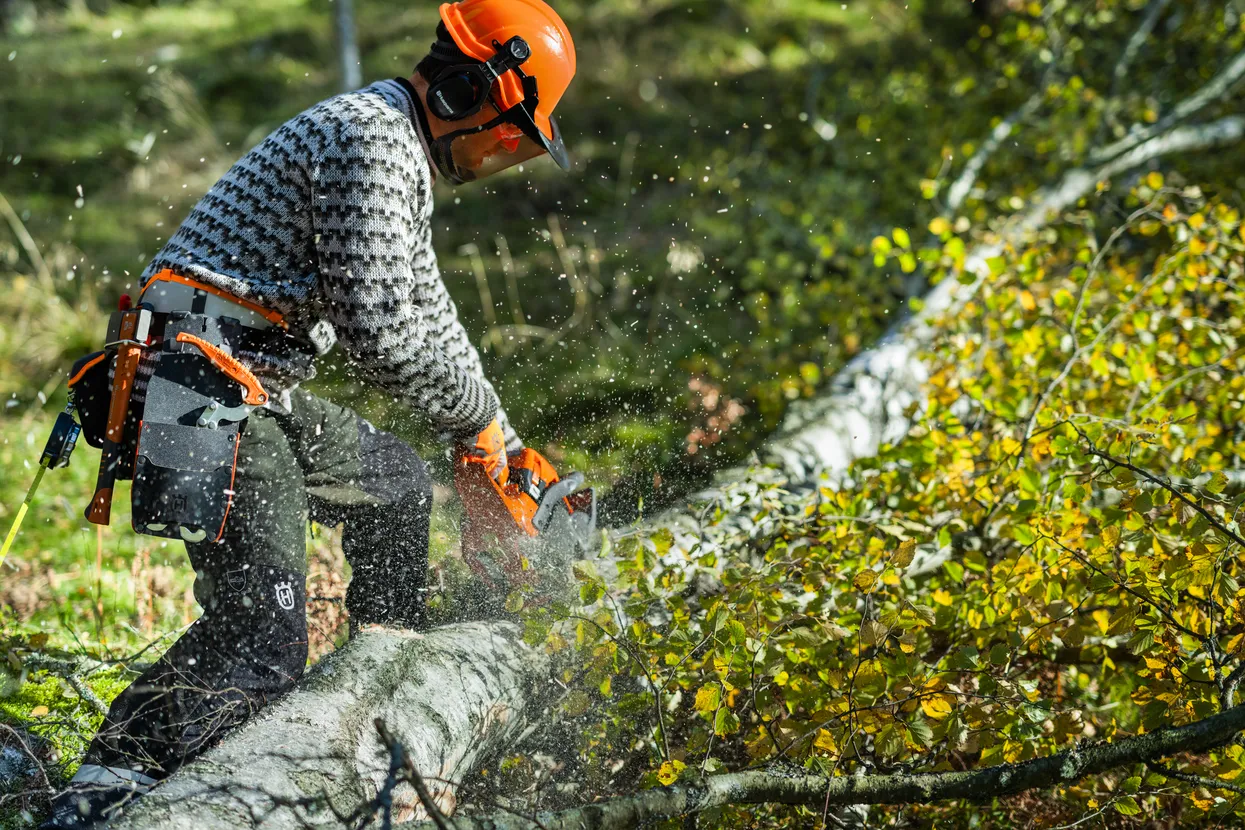 Motoferastrau Husqvarna 445 S [7]
