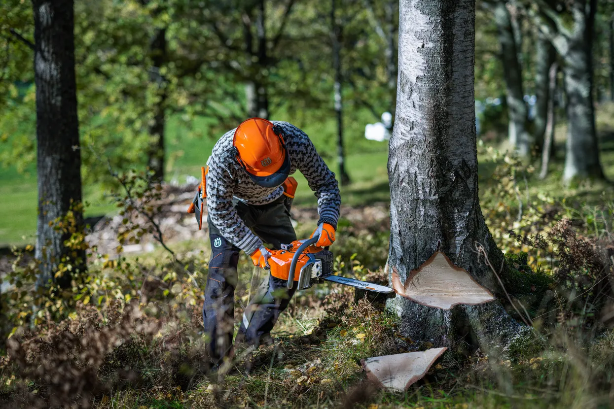 Motoferastrau Husqvarna 445 S [4]