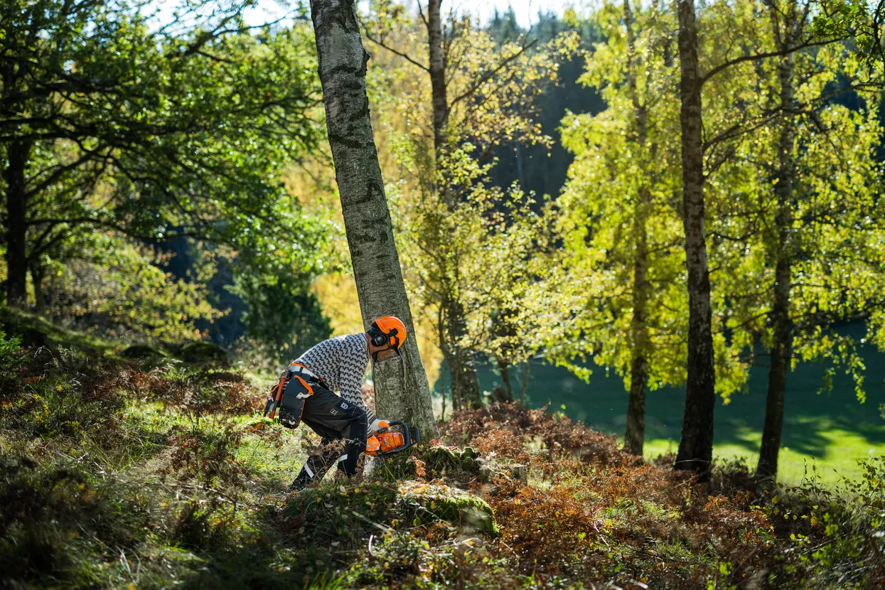 Motoferastrau Husqvarna 445 S [8]