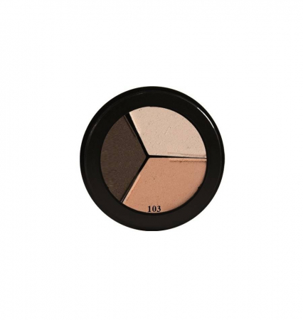 Noutati - Fard de pleoape perlat Trio-Shiney Elegance, 101 Luxus - 5g