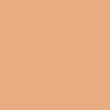 Corector lichid PAESE cu acoperire mare 40 Golden Beige, 9 ml [5]