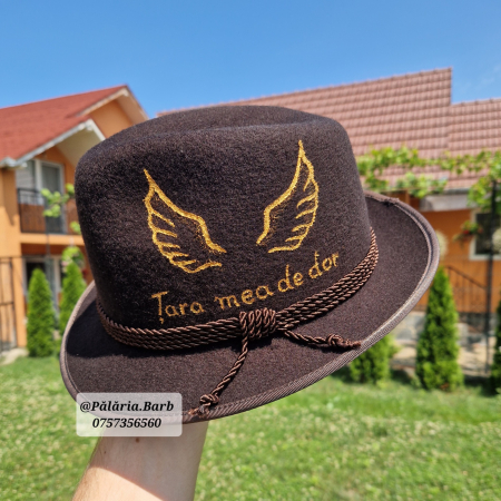 Pălărie maro pictată cu 2 aripi și text [2]