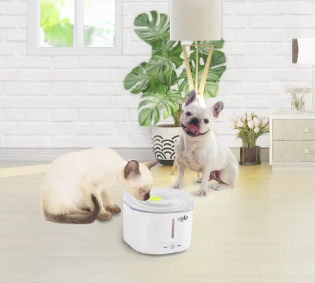 Afp Lifestyle 4 Pets Fantana cu UV pentru Caini si Pisici [6]
