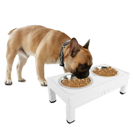 All for Paws Adjustable Double Feeder cu Doua Boluri 2x750 ML [6]