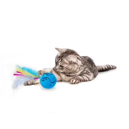 All for Paws Jucarie Dizzy Spinner pentru Pisici [4]