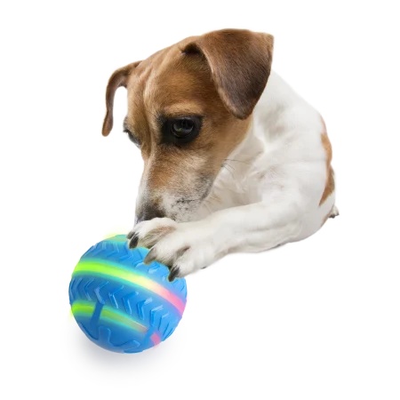 All for Paws Minge Interactiva Motion Activated pentru Caini [2]