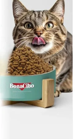 BonaCibo Adult Cat Sterilised Urinary Care cu Somon [3]
