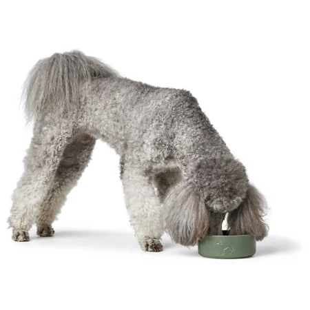 Hunter Bol Osby din Ceramica 550 ML [3]