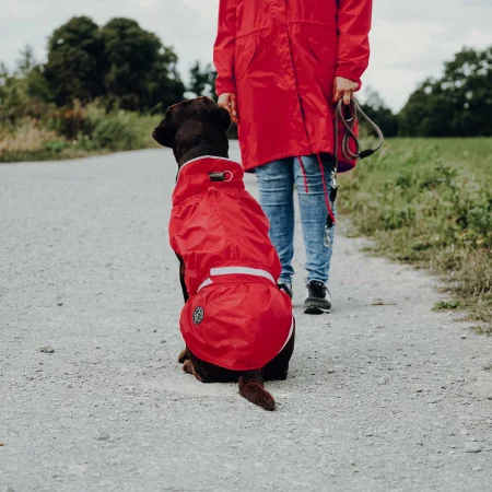 Hunter Pelerina de Ploaie Uppsala Rain pentru Caini [10]