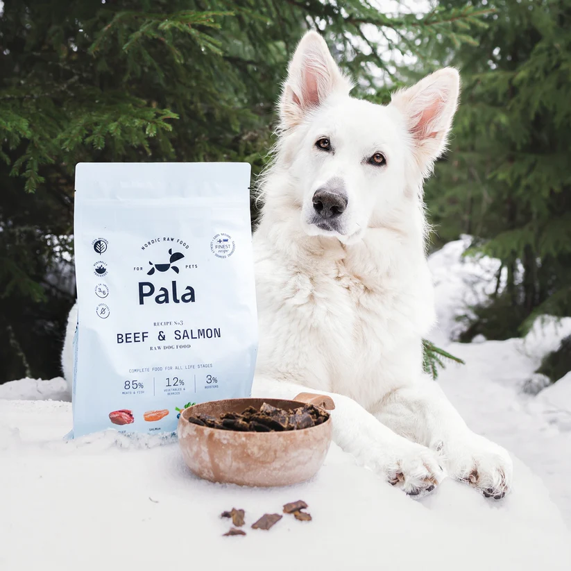 Pala Hrana Raw pentru Caini cu Vita si Somon [5]