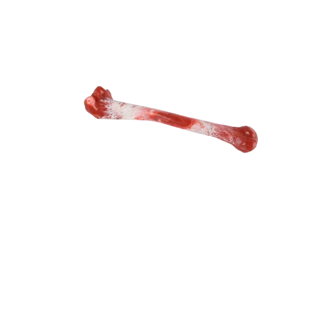 Caini - All for paws Jucarie Bone Appetite Shinbone pentru Caini