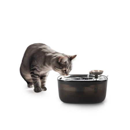 Castroane, Boluri si Accesorii - All for Paws Quiet Stream Cat Fantana pentru Pisici 2 L
