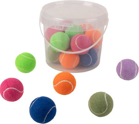 Import - Pawise Hard Tennis Ball Set 20 Buc