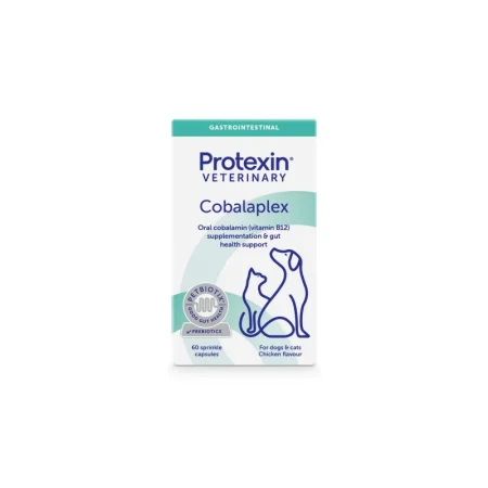 Import - Protexin Cobalaplex pentru Caini si Pisici 60 Capsule