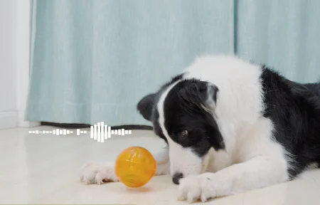 All for Paws Anti Anxiety Speaking Ball pentru Caini [5]