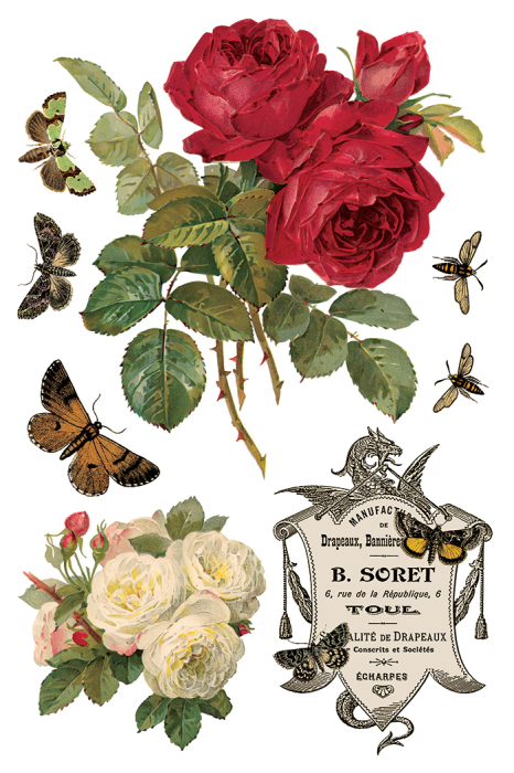 transfer-decorativ-iod-by-any-other-name-coperta.jpg [8]